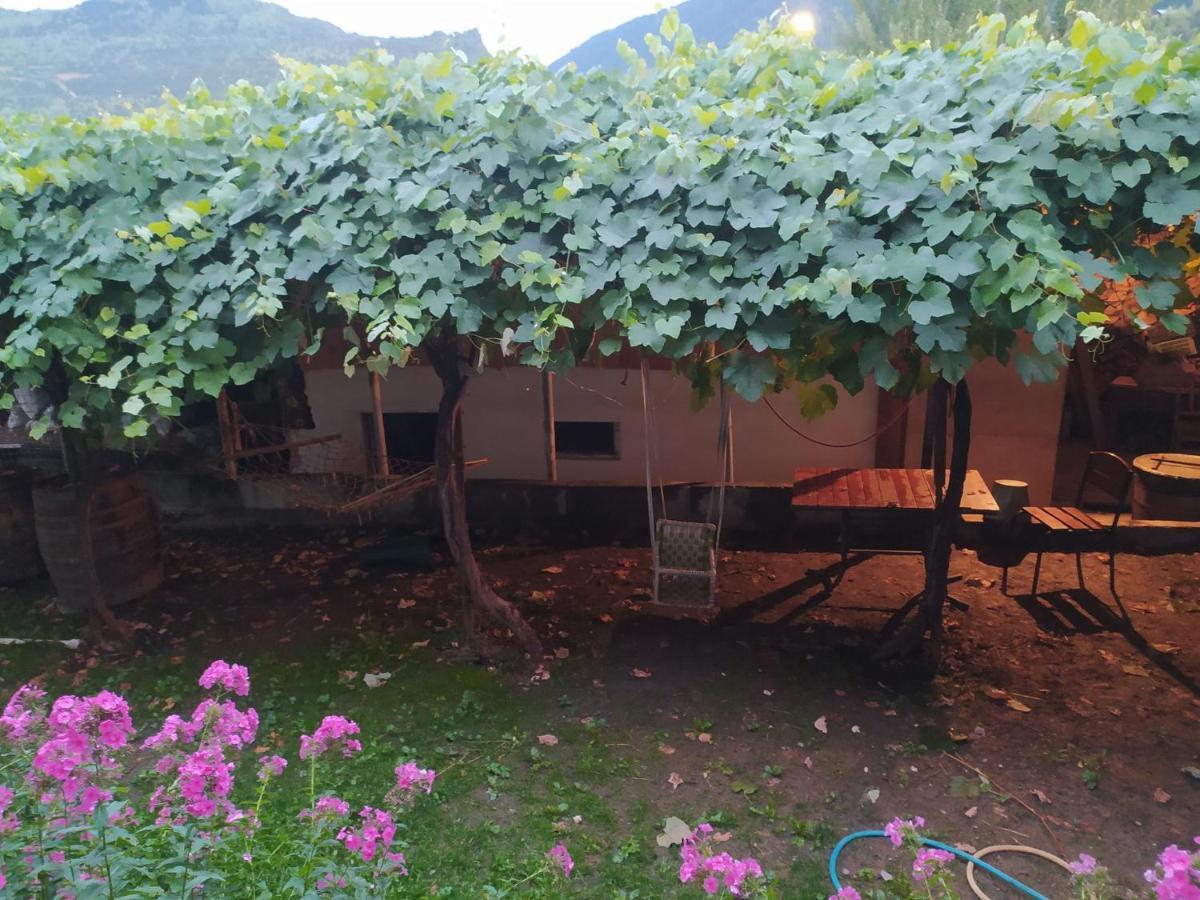 Guest House Nene Mestia Exterior photo