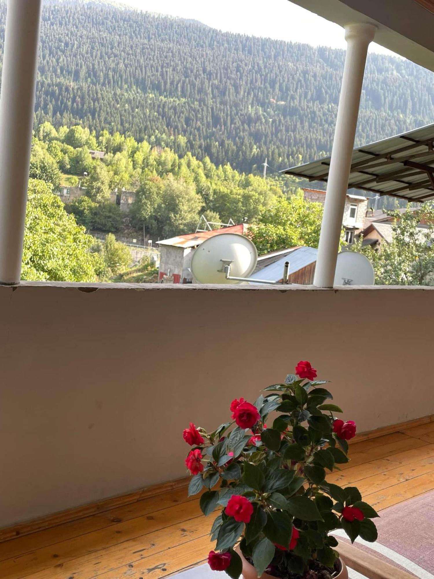 Guest House Nene Mestia Exterior photo